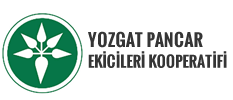Canvas Logo